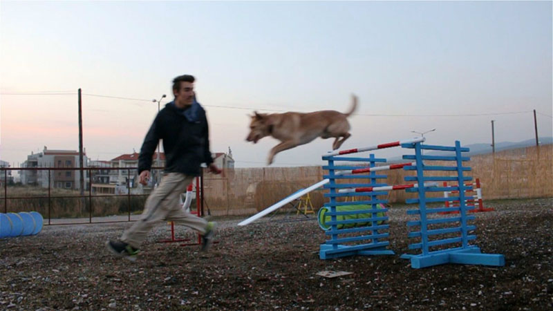 Εκπαίδευση σκύλου σε agility, 1ο μάθημα!
